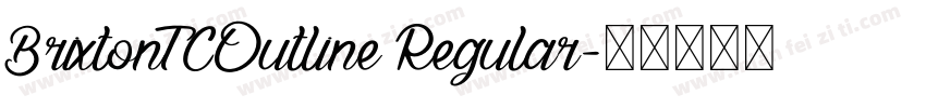 BrixtonTCOutline Regular字体转换